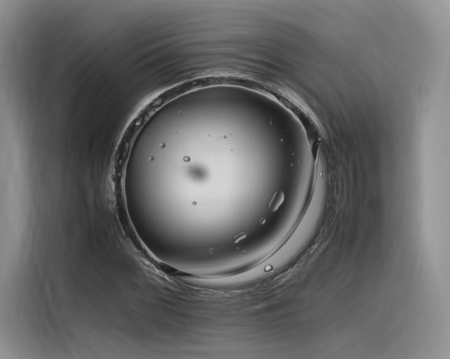 X0000116261068200911301148