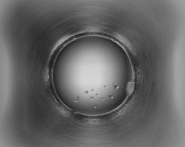 X0000116261070200911301148