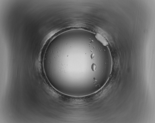 X0000116261071200911301148