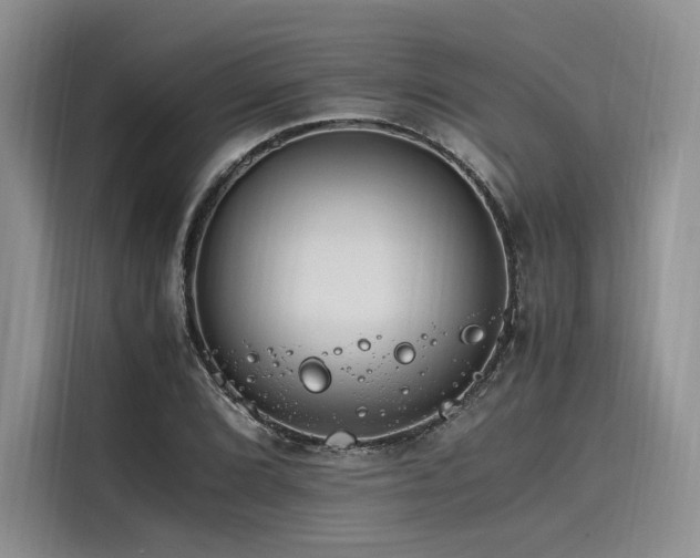 X0000116261072200911301148