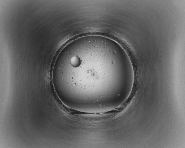 X0000116261073200911301148