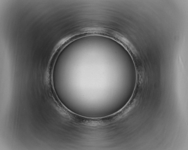 X0000116261074200911301148