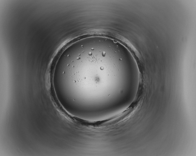 X0000116261075200911301148