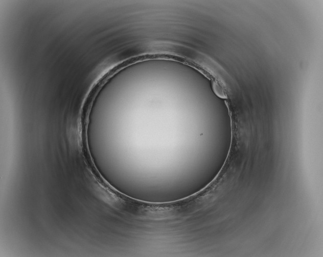 X0000116261076200911301148