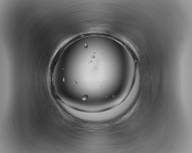 X0000116261077200911301148