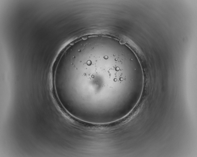X0000116261079200911301148