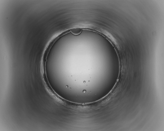 X0000116261080200911301148