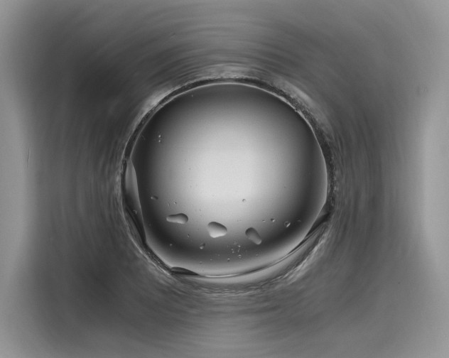 X0000116261081200911301148