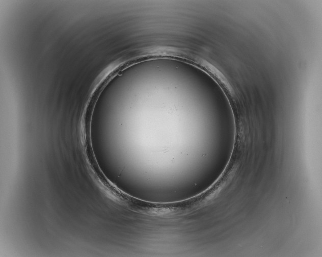 X0000116261082200911301148