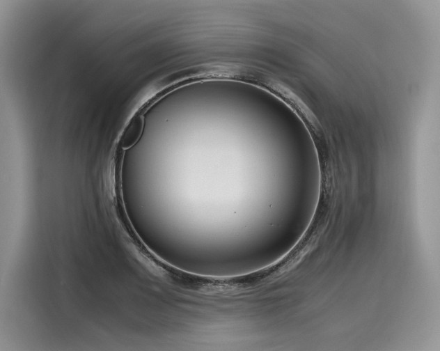 X0000116261083200911301148