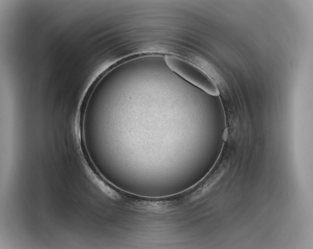 X0000116261084200911301148