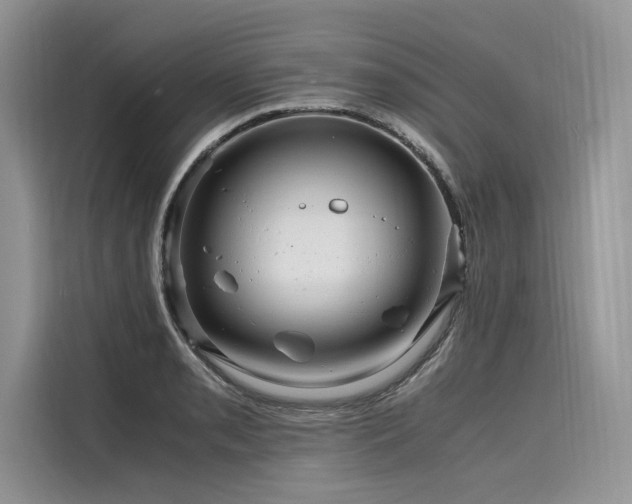 X0000116261085200911301148
