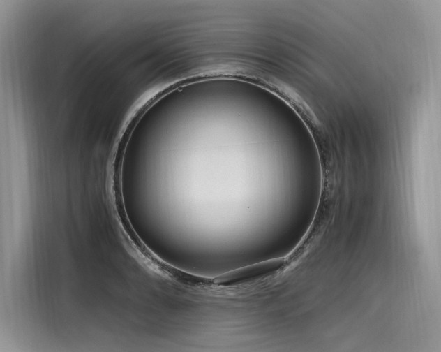 X0000116261086200911301148