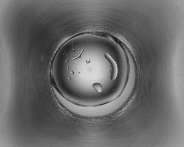 X0000116261089200911301148