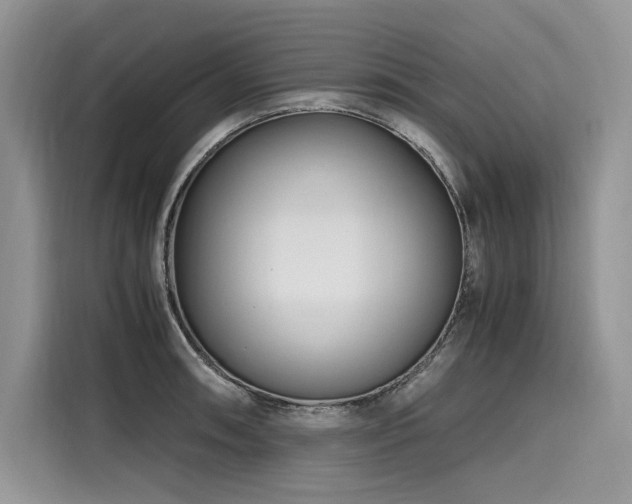 X0000116261090200911301148