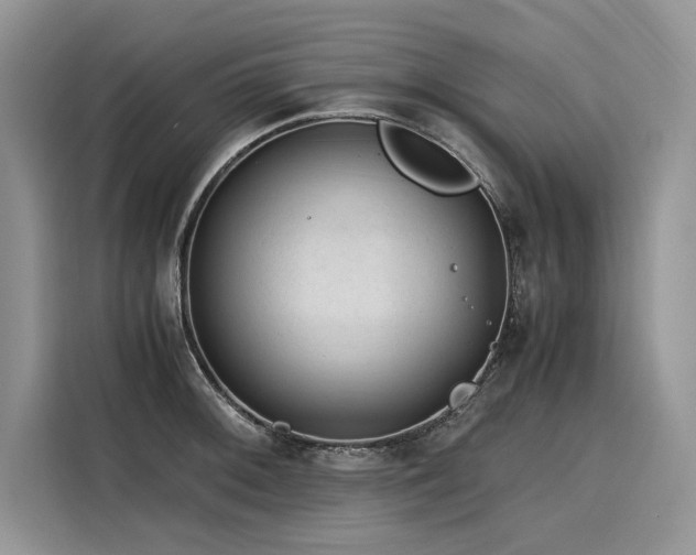 X0000116261092200911301148