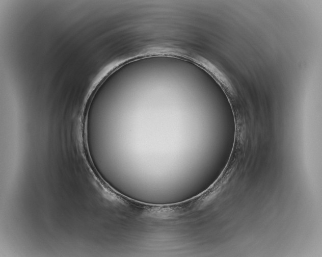 X0000116261094200911301148