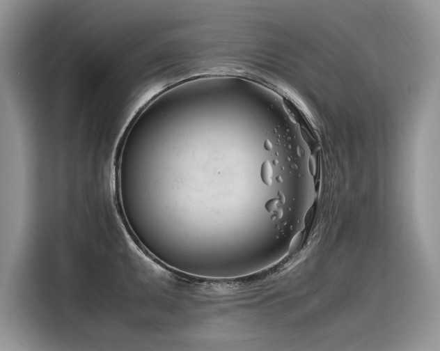 X0000116261095200911301148