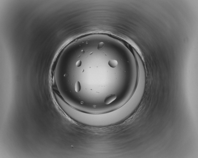 X0000116261096200911301148