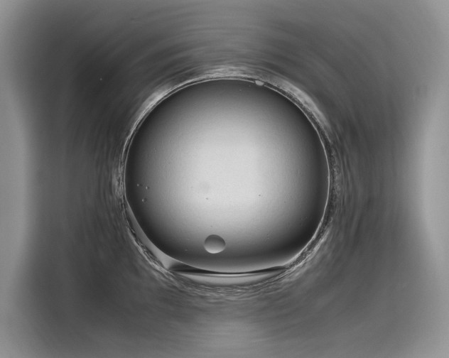 X0000116261097200911301148