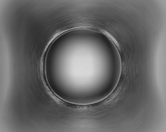 X0000116261099200911301148