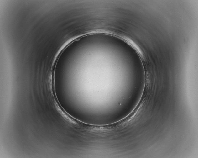 X0000116261100200911301148