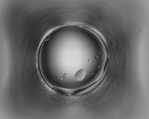 X0000116261102200911301148