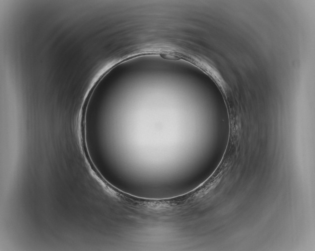 X0000116261103200911301148