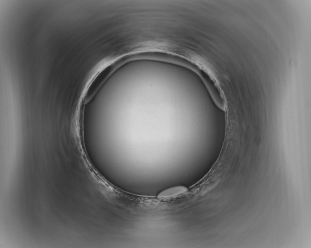X0000116261104200911301148
