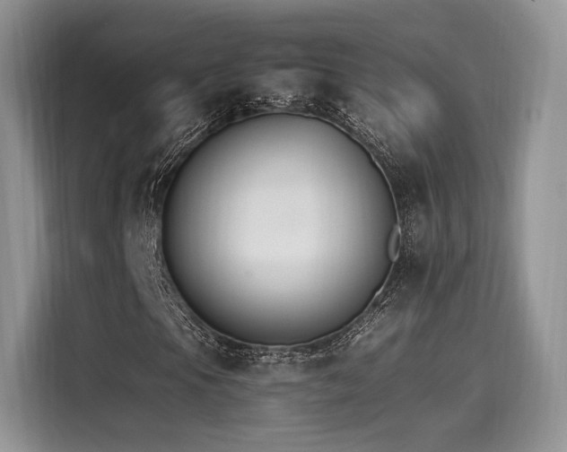 X0000116261105200911301147
