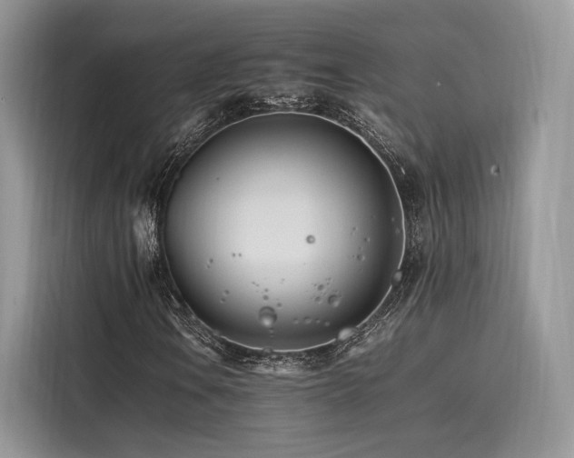 X0000116261106200911301147