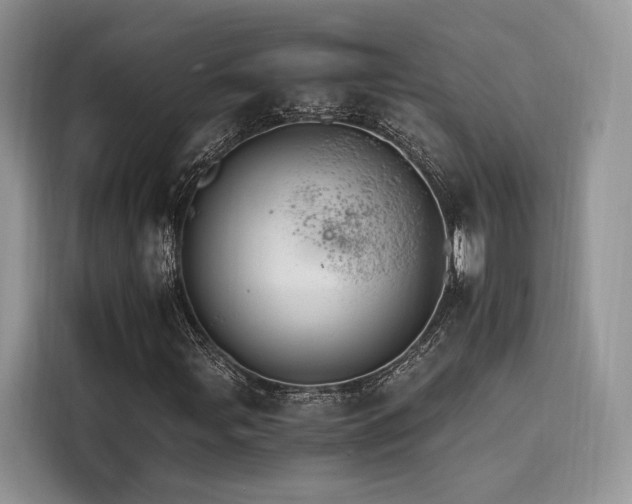 X0000116261107200911301147