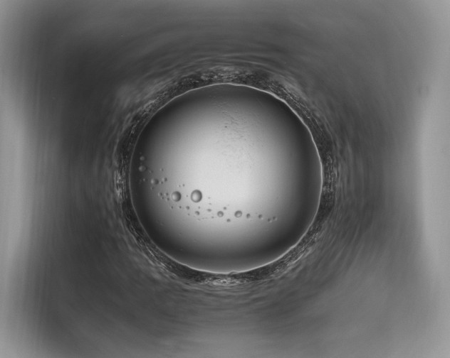 X0000116261109200911301147
