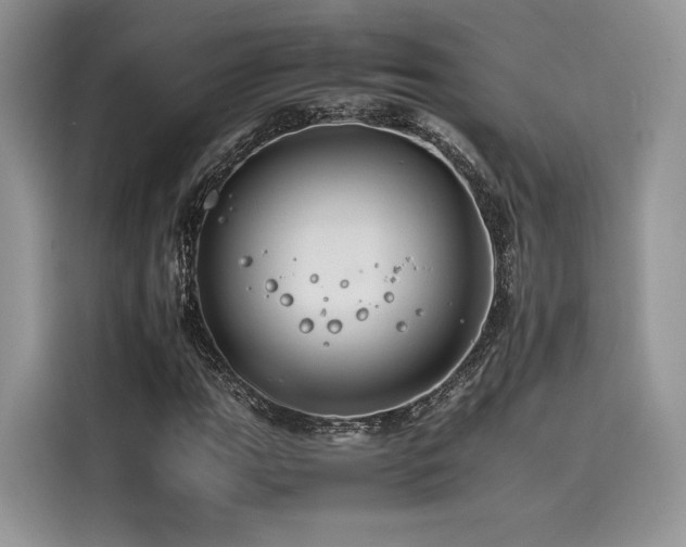 X0000116261111200911301147