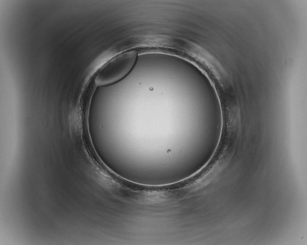 X0000116261114200911301147