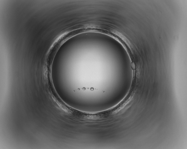 X0000116261115200911301147