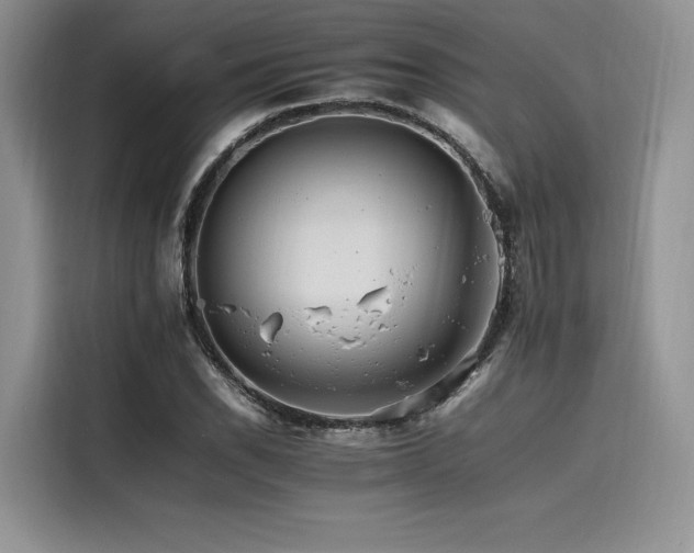 X0000116261118200911301147