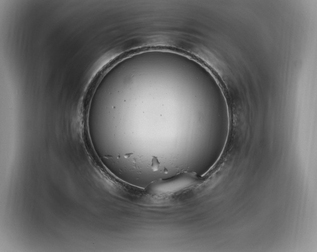 X0000116261119200911301147