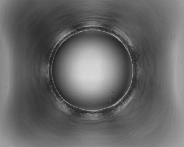 X0000116261121200911301148