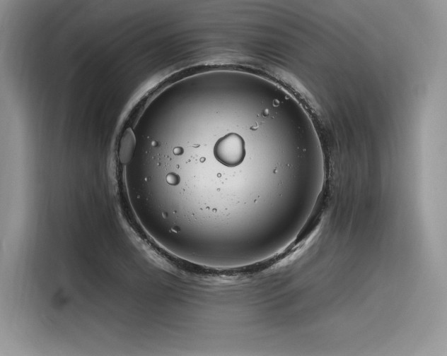 X0000116261122200911301148