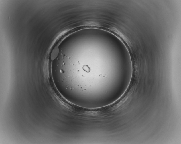 X0000116261123200911301148