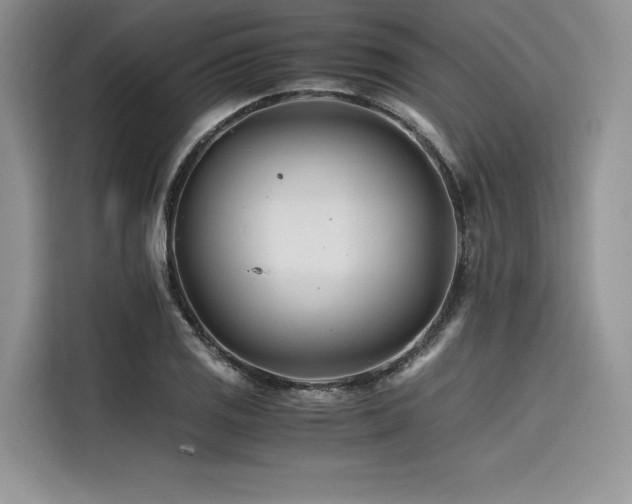 X0000116261125200911301148
