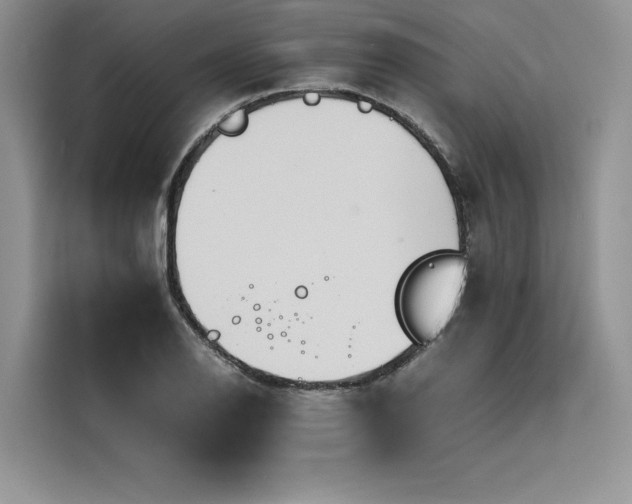X0000116261126200911301148