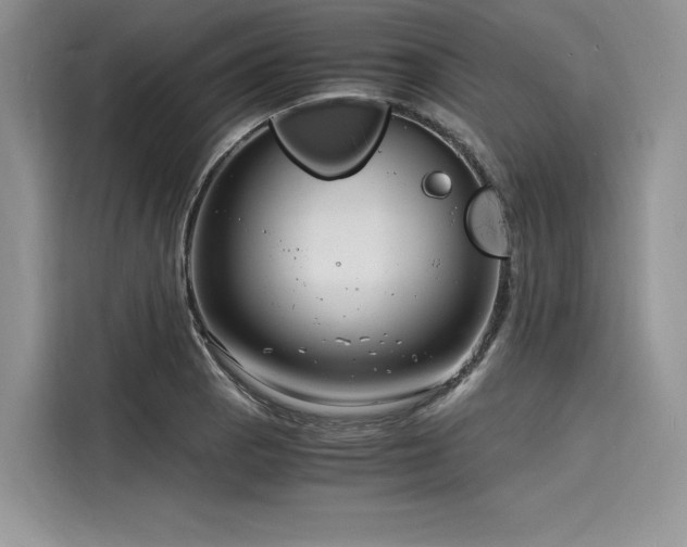 X0000116261129200911301148