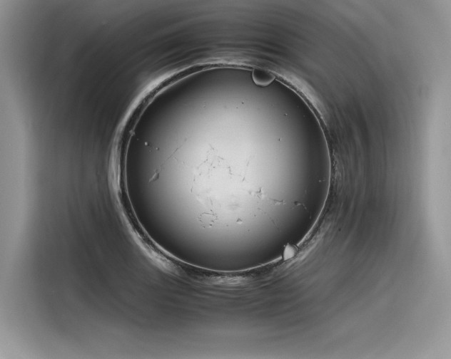 X0000116261131200911301148