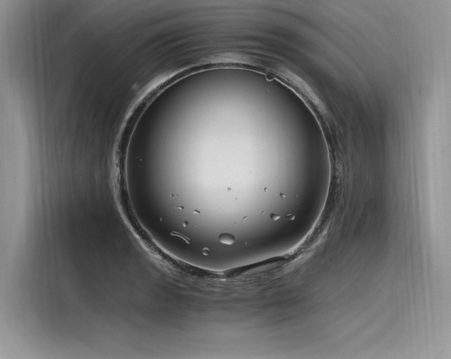 X0000116261133200911301148