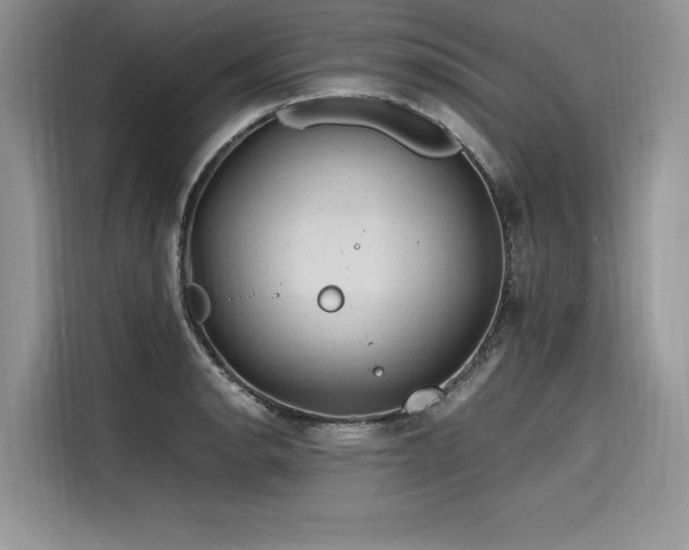 X0000116261134200911301148