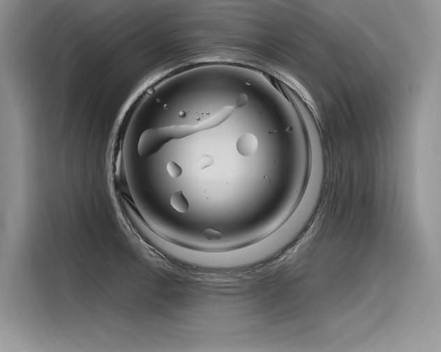 X0000116261138200911301148