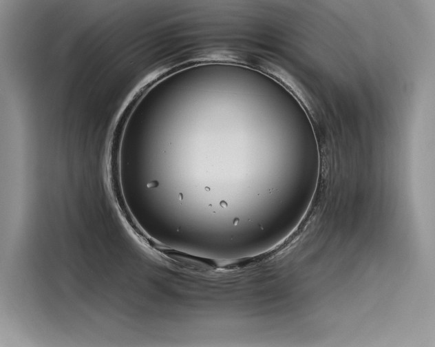 X0000116261139200911301148