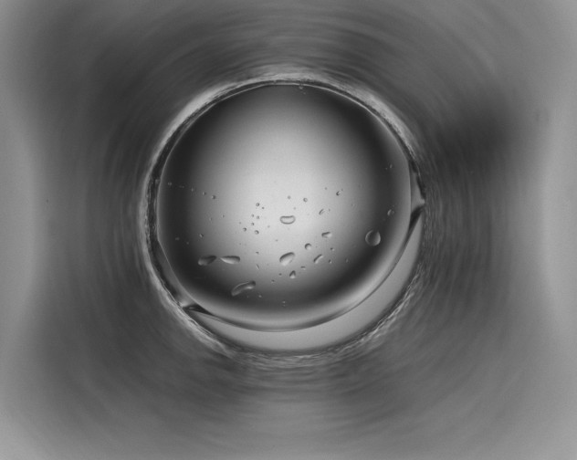 X0000116261142200911301148